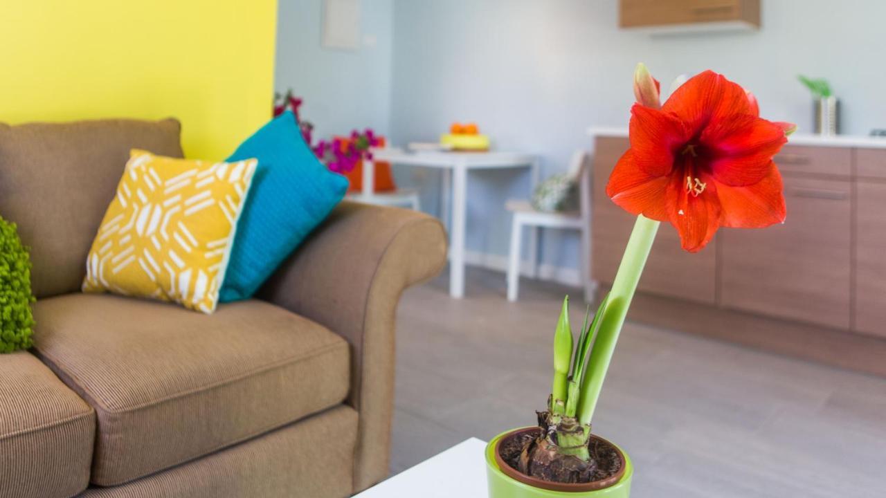 Bubali Bliss Studios Palm Beach Dış mekan fotoğraf